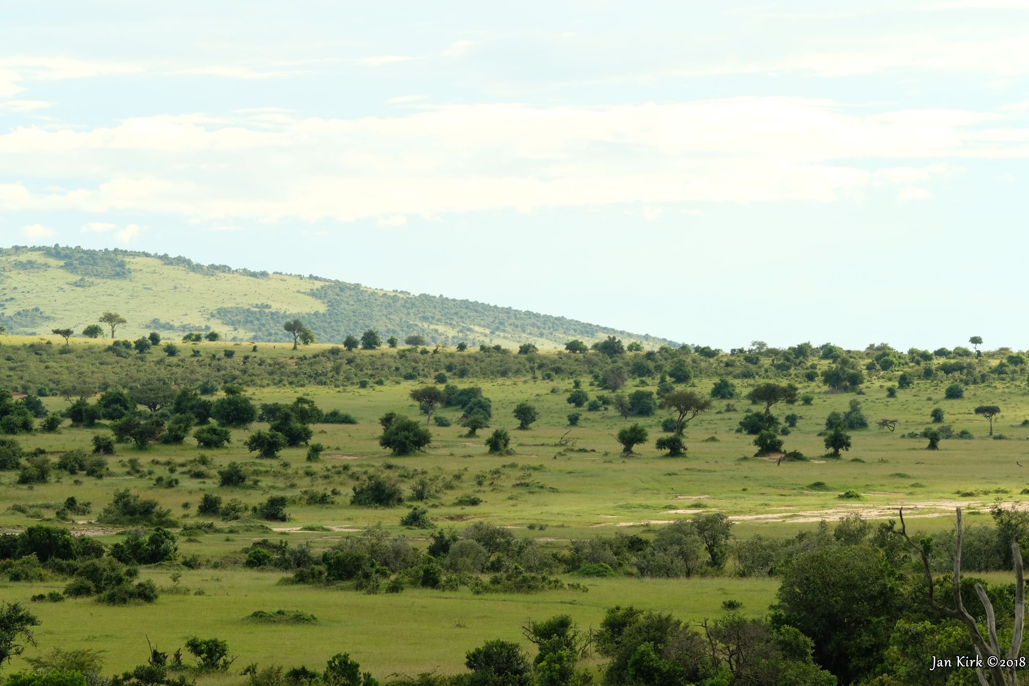 Landscapes of Masai Mara