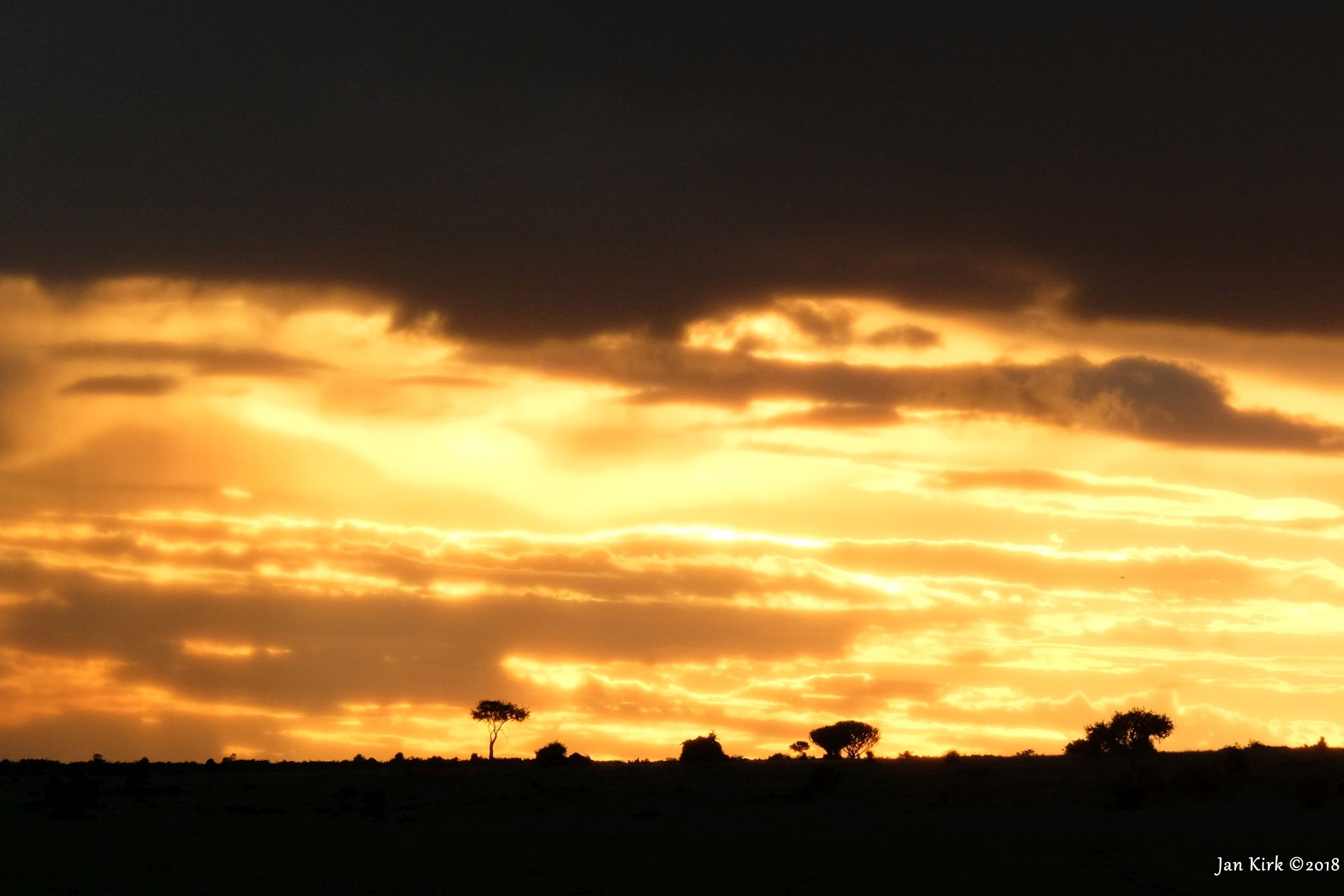 Landscapes of Masai Mara