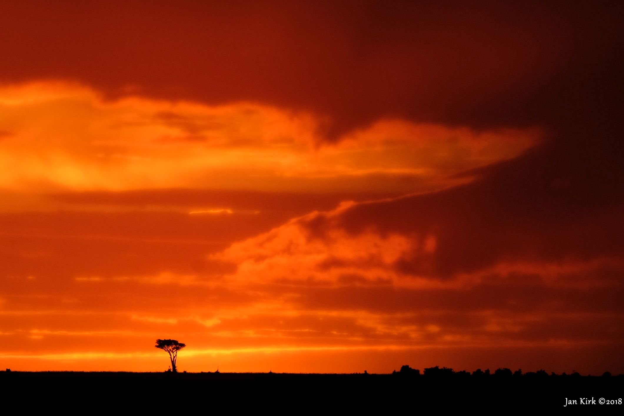 Landscapes of Masai Mara