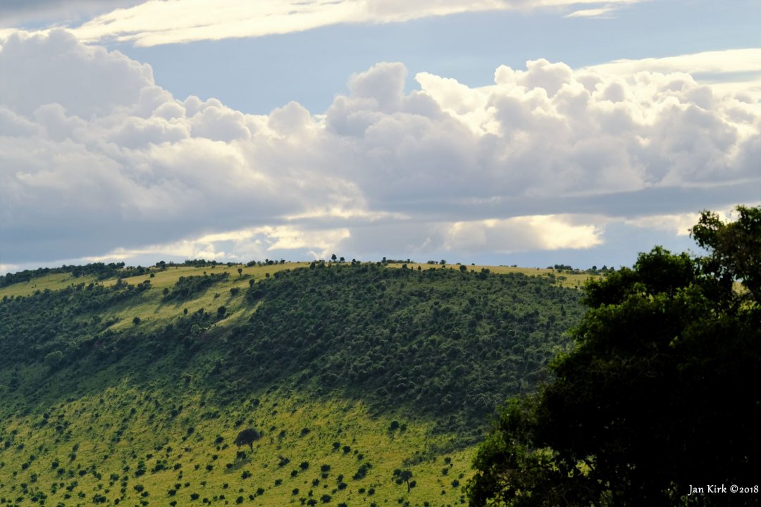 Landscapes of Masai Mara