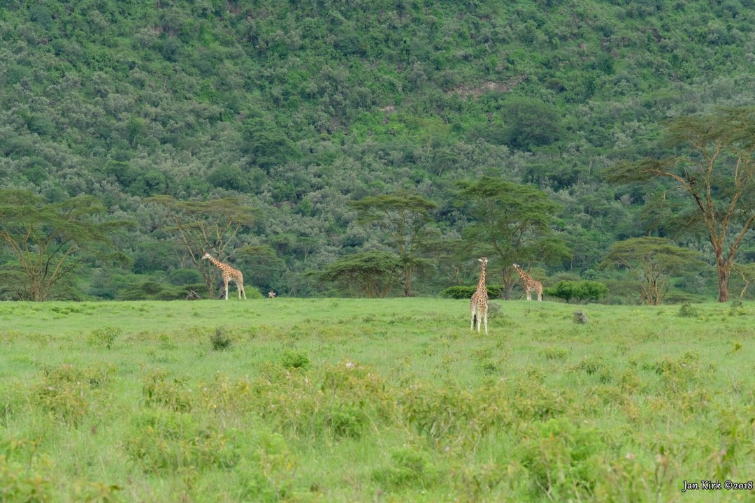 Landscapes of Masai Mara