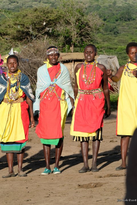 Masai Mara - Others